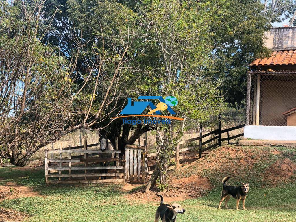 Fazenda à venda com 5 quartos, 20000m² - Foto 17