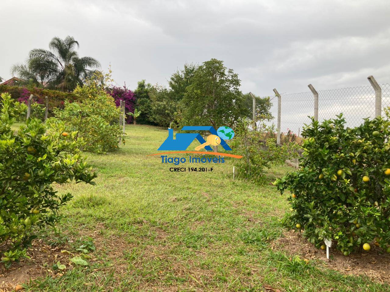 Fazenda à venda com 4 quartos, 3000m² - Foto 5