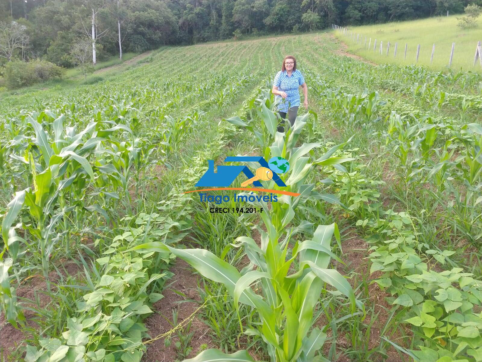 Fazenda à venda com 2 quartos, 20000m² - Foto 31