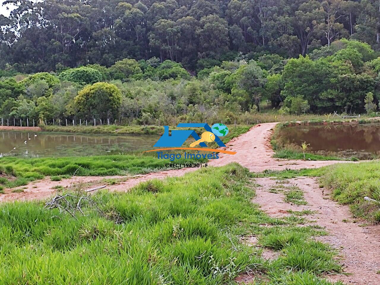 Fazenda à venda com 2 quartos, 20000m² - Foto 23