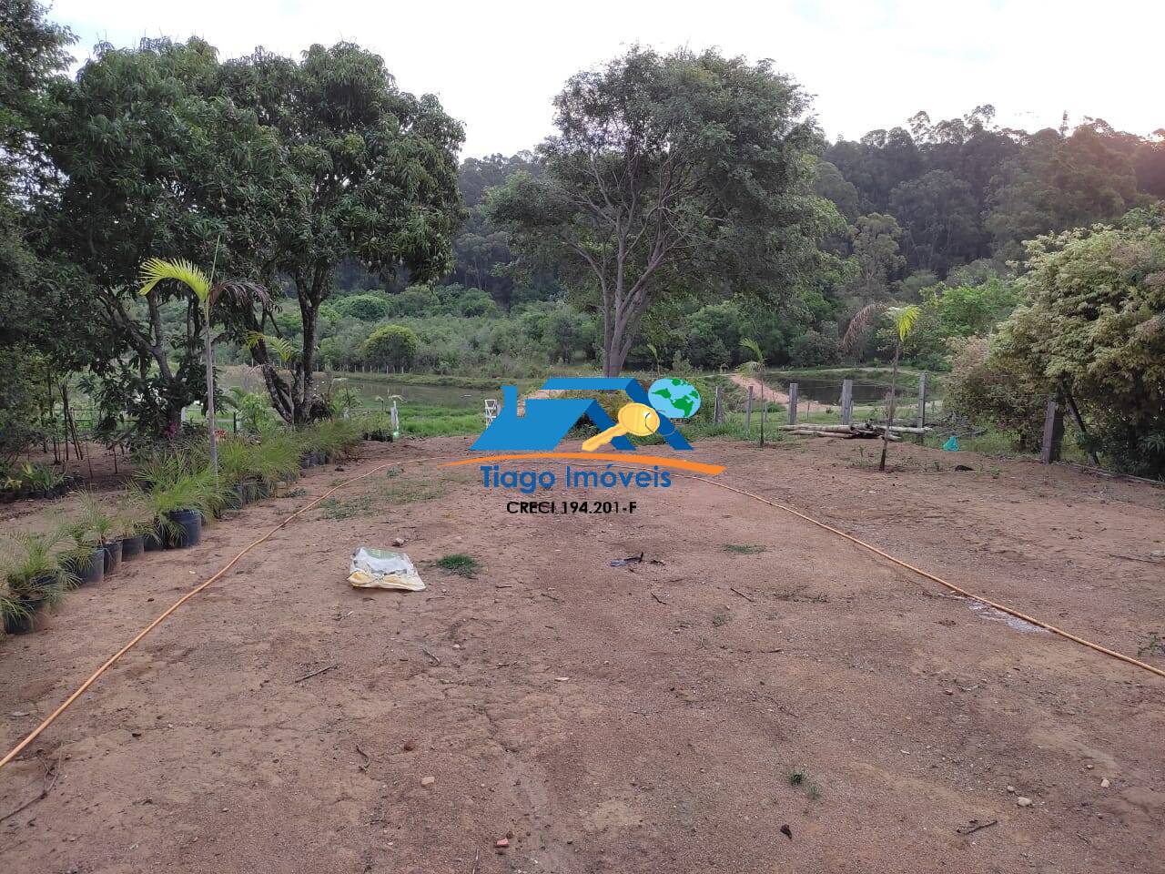 Fazenda à venda com 2 quartos, 20000m² - Foto 7