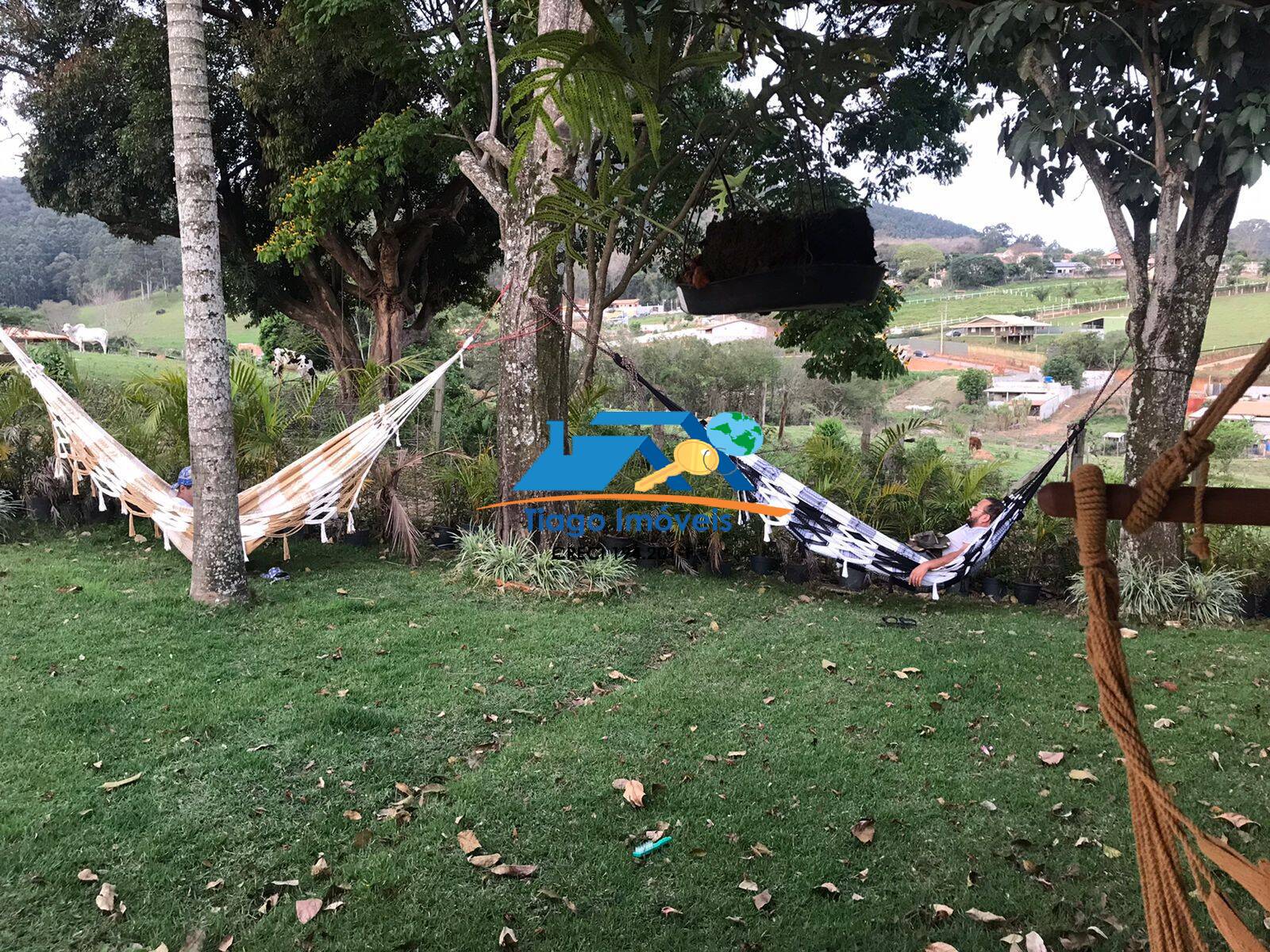 Fazenda à venda com 2 quartos, 20000m² - Foto 20