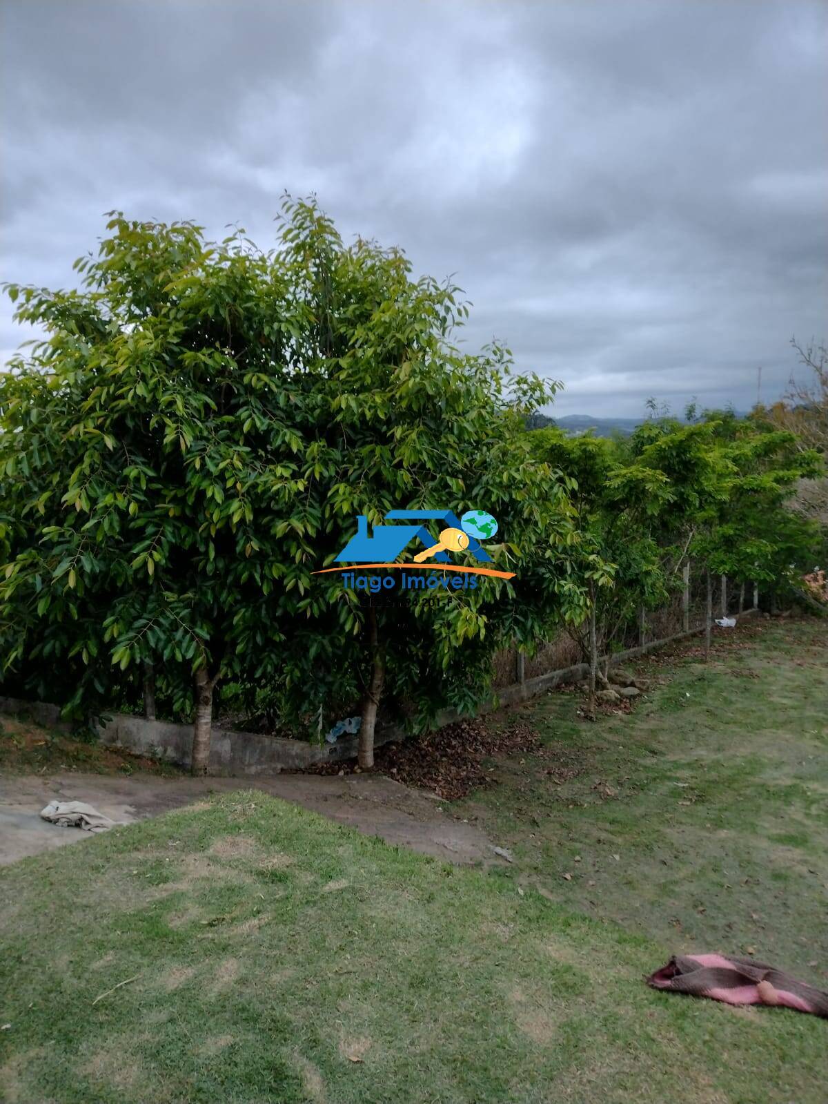 Fazenda à venda com 3 quartos, 1655m² - Foto 25