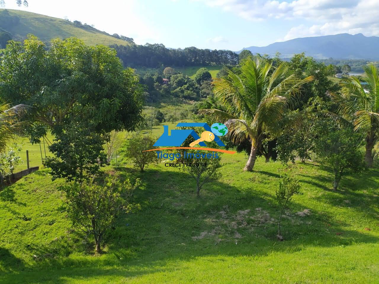 Fazenda à venda com 4 quartos, 5000m² - Foto 15