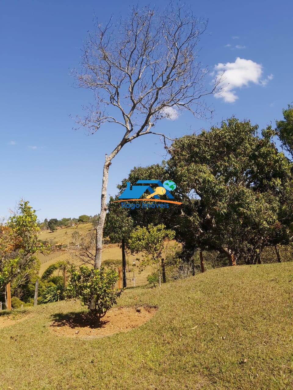 Fazenda à venda com 4 quartos, 96000m² - Foto 20