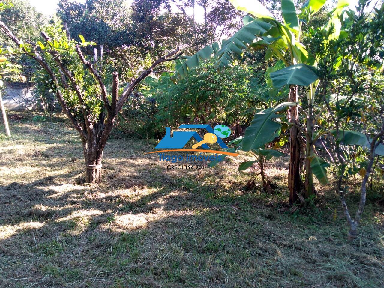 Fazenda à venda com 2 quartos, 1000m² - Foto 12