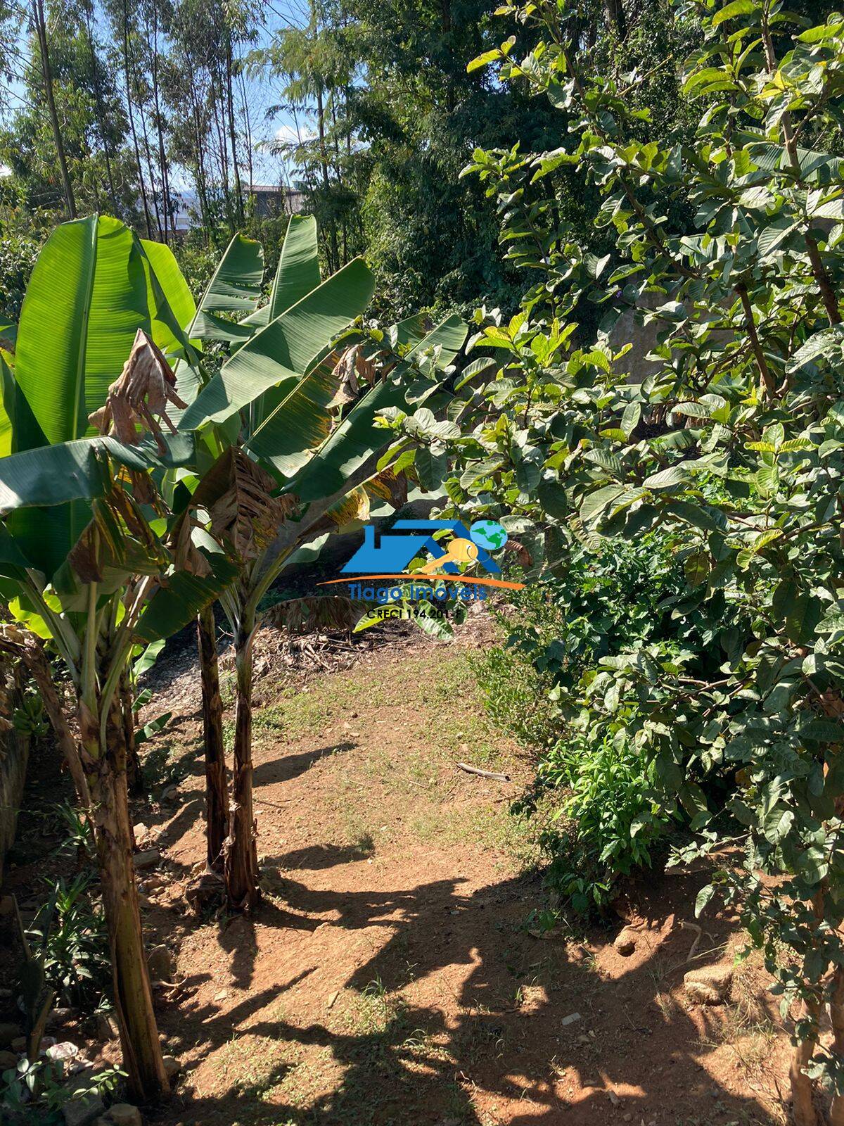 Fazenda à venda com 7 quartos, 2467m² - Foto 52