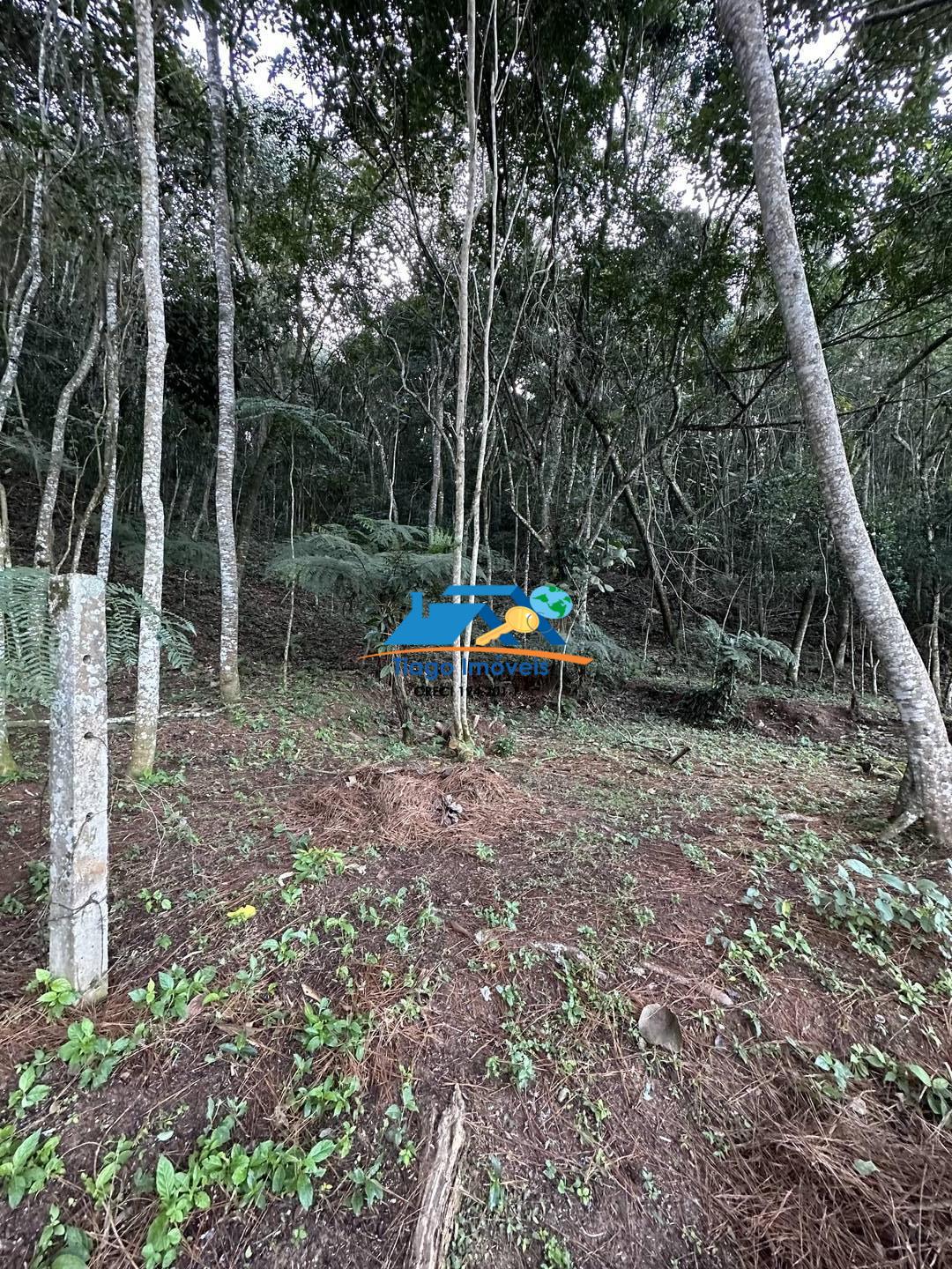 Fazenda à venda e aluguel com 5 quartos, 4100m² - Foto 35