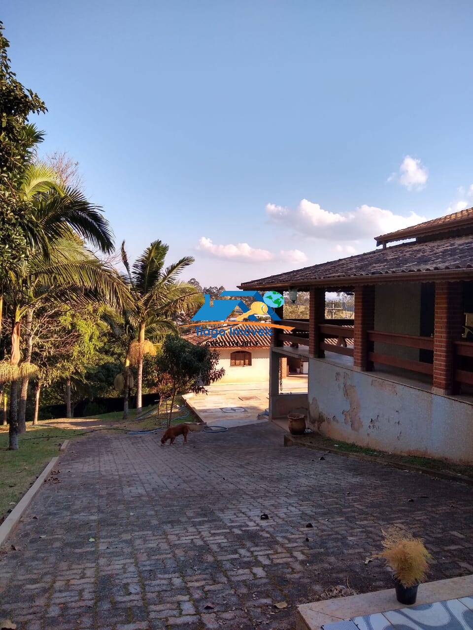 Fazenda à venda com 3 quartos, 2384m² - Foto 27