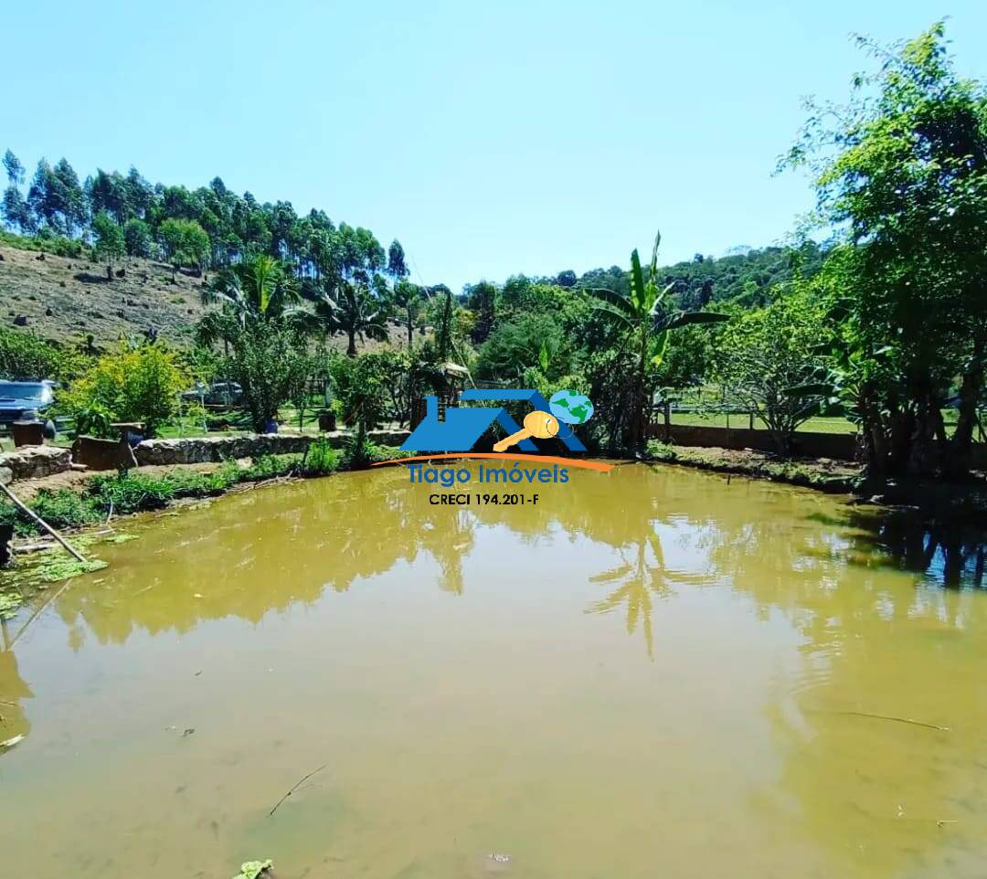 Fazenda à venda com 2 quartos, 1000m² - Foto 26