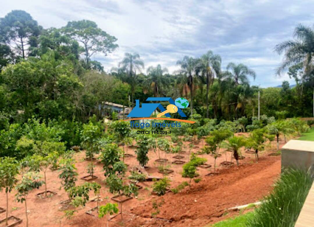 Fazenda à venda com 3 quartos, 3000m² - Foto 7