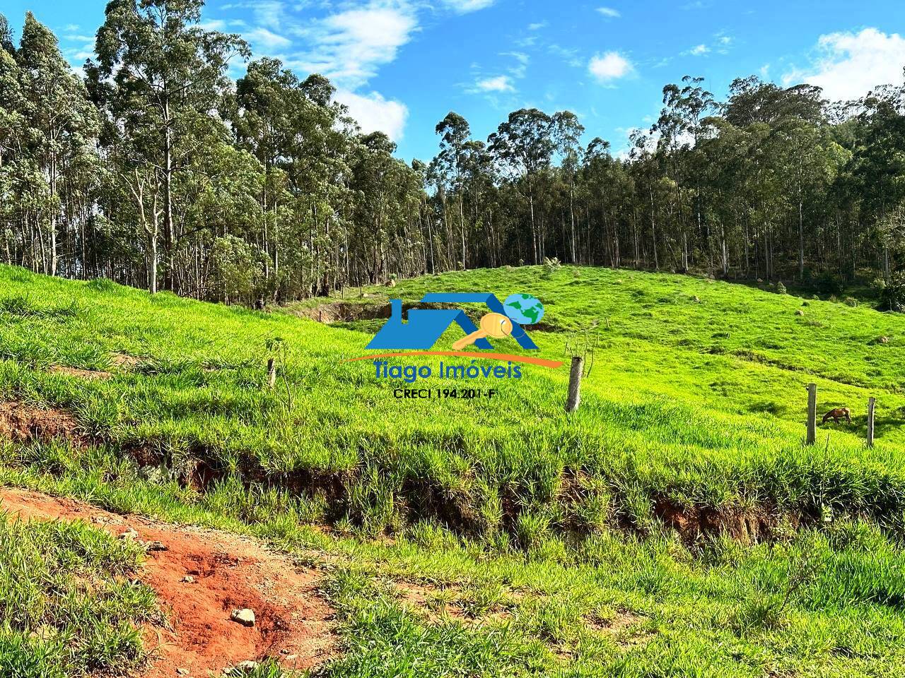 Fazenda à venda com 8 quartos, 50000m² - Foto 66