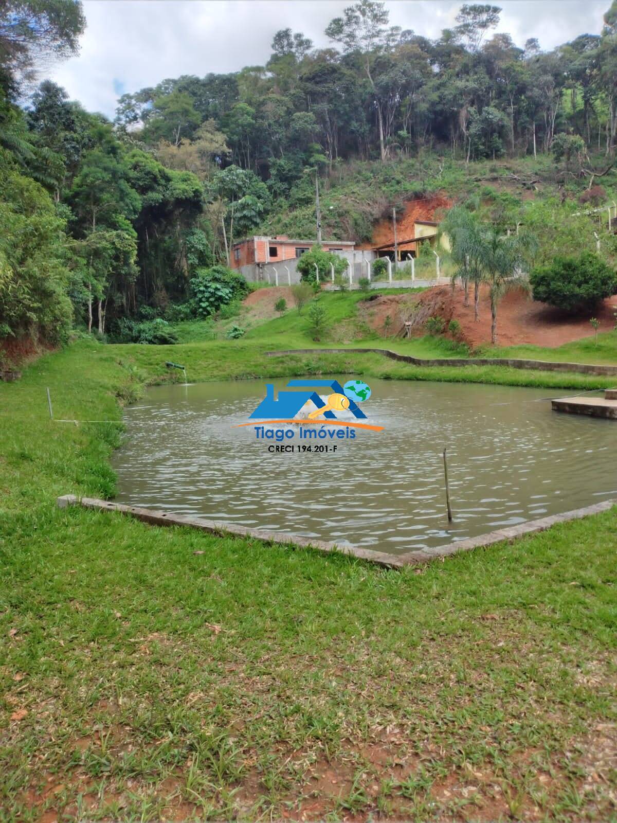 Fazenda à venda com 3 quartos, 2677m² - Foto 7