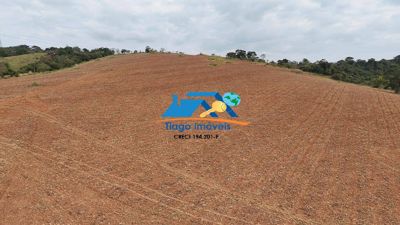 Fazenda à venda com 1 quarto, 435600m² - Foto 6