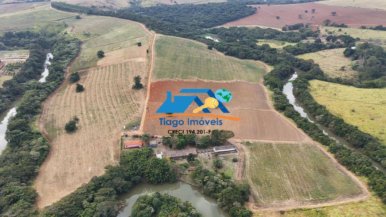 Fazenda à venda com 4 quartos, 532400m² - Foto 4